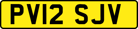 PV12SJV