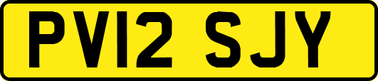 PV12SJY