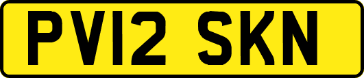 PV12SKN