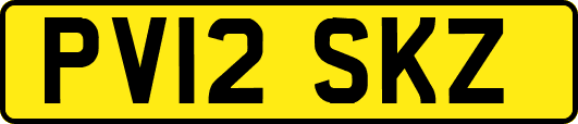PV12SKZ