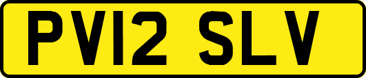 PV12SLV
