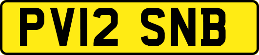 PV12SNB