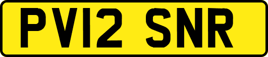 PV12SNR