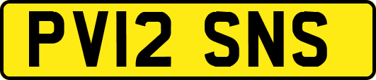 PV12SNS