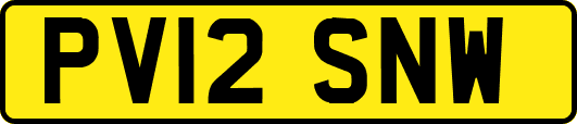 PV12SNW
