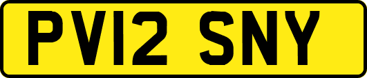 PV12SNY