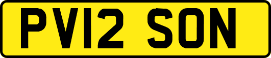 PV12SON