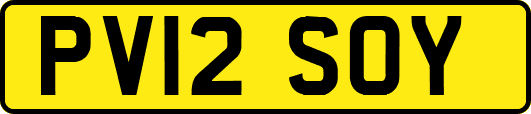 PV12SOY