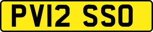 PV12SSO