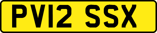 PV12SSX