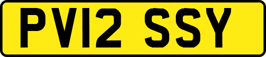 PV12SSY