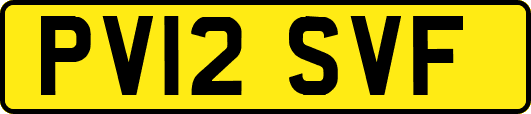 PV12SVF