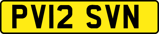 PV12SVN