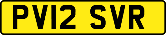 PV12SVR