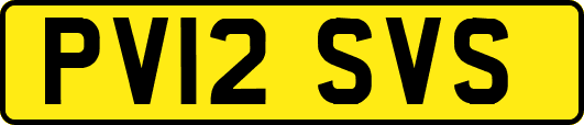 PV12SVS