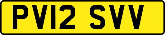 PV12SVV