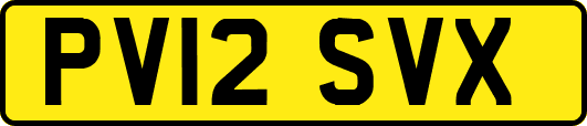 PV12SVX