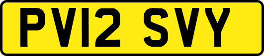 PV12SVY