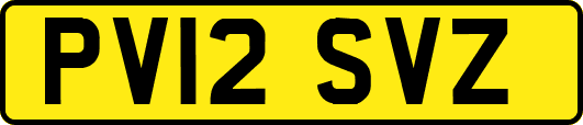 PV12SVZ