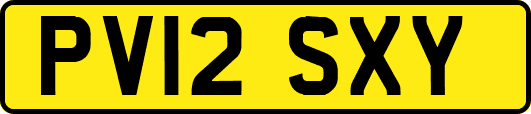 PV12SXY