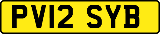 PV12SYB