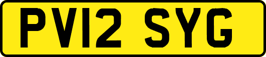 PV12SYG