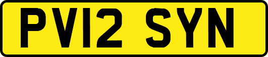 PV12SYN