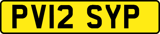 PV12SYP
