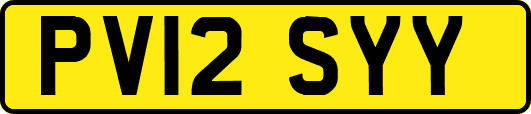 PV12SYY