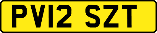 PV12SZT