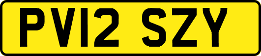 PV12SZY