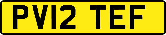 PV12TEF