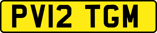 PV12TGM