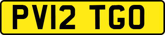 PV12TGO