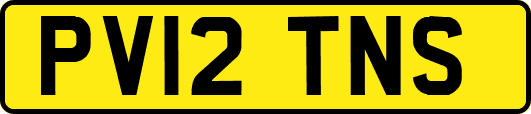 PV12TNS