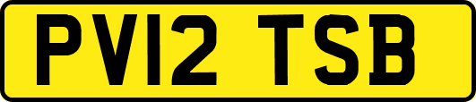 PV12TSB