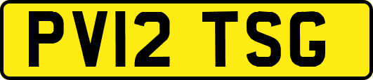 PV12TSG