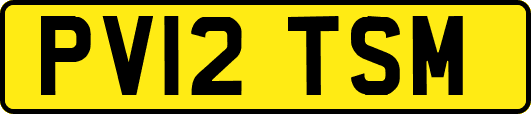 PV12TSM