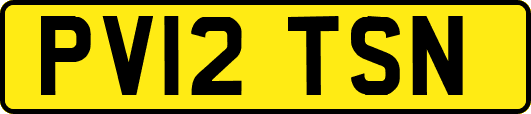 PV12TSN
