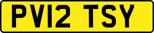 PV12TSY