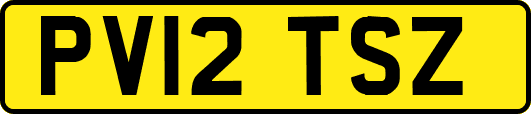 PV12TSZ