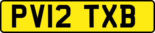 PV12TXB