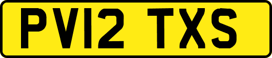 PV12TXS