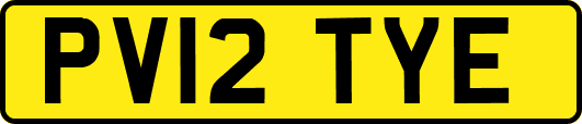 PV12TYE