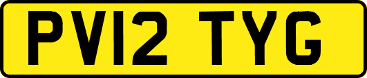 PV12TYG