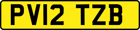 PV12TZB