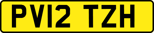 PV12TZH