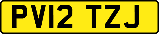 PV12TZJ