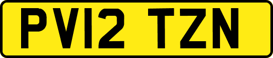 PV12TZN