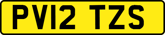 PV12TZS